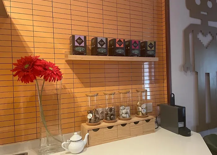 Belkir Apartment Bilbao